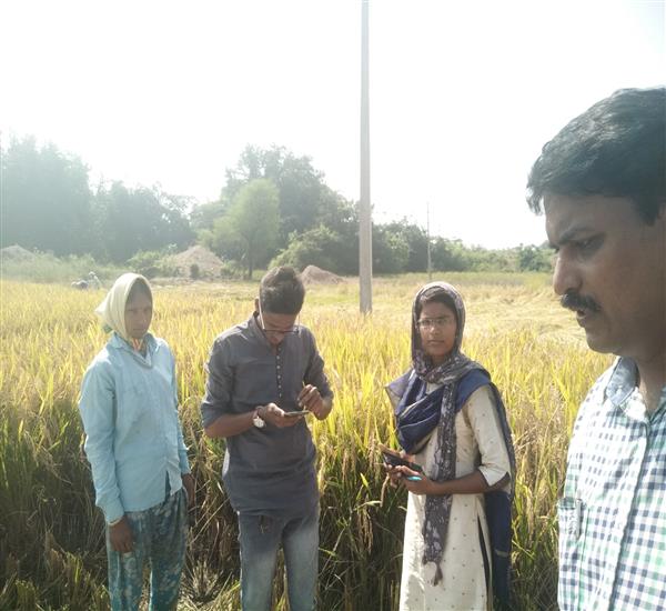 Peddapalli District - Peddapalle Division                                                                                                                                                                                                                  - Crop Cutting Expts.,                                                                                                                                   - Attended PMFBY PADDY supervision at Bhoopathipur of Sulthanabad Mandal                                                                                                                                                                                          - dt.16/11/2019          